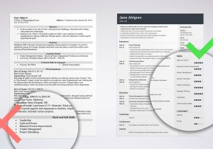 Sample Resume with Computer Skills Section top Computer Skills Examples for A Resume [lancarrezekiqsoftware List]