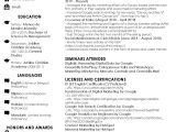 Sample Resume with Different Positions at Same Company Listing Multiple Positions In A Company : R/resumes