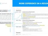 Sample Resume with Different Work Experience Work Experience On Resumeâhistory & Job Description Examples