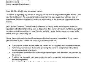 Sample Resume with Dog Walking Experience Dog Walker Cover Letter Examples – Qwikresume