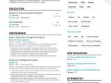 Sample Resume with Etl Developer Job Duties In Insurance Company Business Intelligence Resume Examples   Templates & Expert Advice …