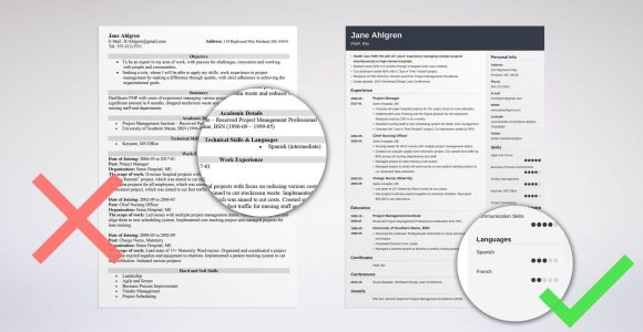 Sample Resume with foreign Language Skills Resume Language Skills: Proficiency Levels & How to List