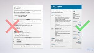 Sample Resume with Gaps In Employment to Take Care Child Child Care Provider Resume Example [with Skills & Objectives]