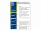 Sample Resume with Header and Footer Resume Header Examples (20lancarrezekiq Professional Headings)