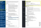 Sample Resume with Header and Footer Resume Header Examples (20lancarrezekiq Professional Headings)