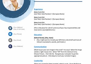 Sample Resume with Non Profit Experience 20 Best Free Resume Templates for Nonprofit & Ngo Jobs 2022