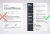 Sample Resume with Non Profit Experience Nonprofit Resume Examples (template & Guide)