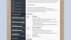 Sample Resume with One Year Experiance the 3 Best Resume formats to Use In 2022 (examples)