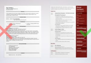 Sample Resume with Personal Brand Statement Brand Ambassador Resume [lancarrezekiqexamples with Skills and Duties]