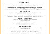 Sample Resume with Personal Brand Statement Personal Statement Examples for Jobs Personal Statement Examples …