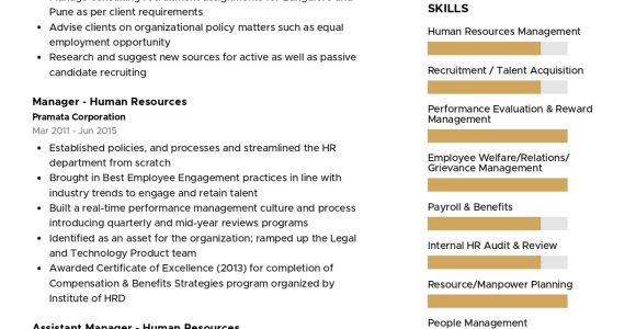 Sample Resume with Recent Career Break Sample Resume Of Hr Manager with Career Break with Template …