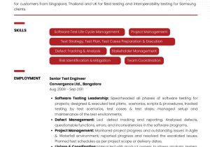 Sample Resume with Recent Career Break Sample Resume Of software Testing Professional with Career Break …