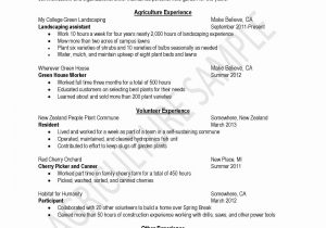 Sample Resume with Volunteer Work Included Volunteer Experience On Resume Example Elegant Resume format …