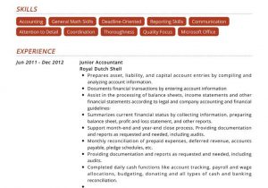 Sample Resumes for Accountants and Financial Professionals 100 Professional Resume Samples for 2020