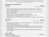Sample Resumes for Bank Teller Positions Bank Teller Resume Sample & Writing Tips