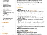 Sample Resumes for It Director Position It Director Resume Example 2022 Writing Tips – Resumekraft