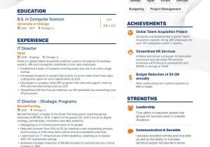 Sample Resumes for It Director Position It Director Resume Examples Do’s and Don’ts for 2022 Enhancv …