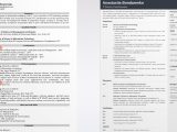 Sample Resumes for It Director Position It Director Resume: Sample & Writing Guide [20lancarrezekiq Tips]