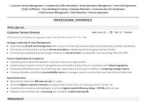 Sample Resumes for Management and Customer Service Free Customer Service Director Resume Sample 2020 by Hiration