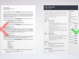 Sample Resumes for Managers and Executives Business Manager Resume Example & Guide