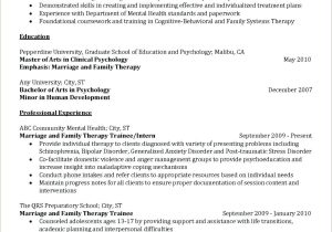 Sample Resumes for Marriage and Family therapist Marriage and Family therapist Resume Ap Language and Composition …