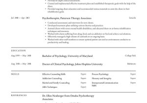 Sample Resumes for Marriage and Family therapist Psychotherapist Resume Examples & Writing Tips 2022 (free Guide)