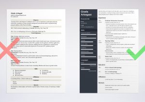 Sample Resumes for Phd for Information Technology Phd Resume Example for Industry & Non-academic Jobs