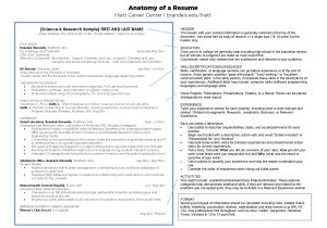Sample Resumes for Philosophy and Religious Studies Resumes Navigate Resources Hiatt Career Center Brandeis …