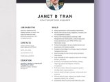 Sample Resumes for Risk Management In Healthcare Healthcare Risk Manager Resume Template – Word, Apple Pages …