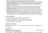 Sample Service Delivery Manager Resume Download Service Delivery Manager Resume Sample