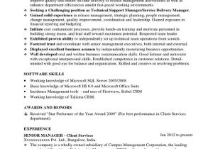 Sample Service Delivery Manager Resume Download Service Delivery Manager Resume Sample