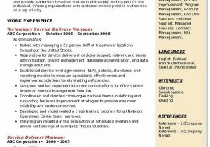 Sample Service Delivery Manager Resume Download Service Delivery Manager Resume Samples