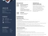Sample Single Page Senior Management Resume One Page Resume Templates – Design, Free, Download Template.net