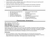 Sample Skills and Abilities for Management Resume Sales Director Resume Sample Monster.com