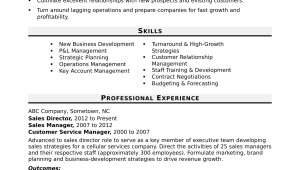 Sample Skills and Abilities for Sales Resume Sales Director Resume Sample Monster.com
