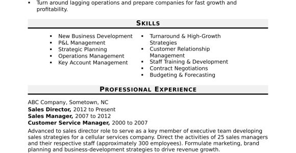 Sample Skills and Abilities for Sales Resume Sales Director Resume Sample Monster.com