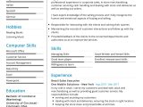 Sample Skills and Abilities for Sales Resume Sales Executive Resume Example 2022 Writing Tips – Resumekraft