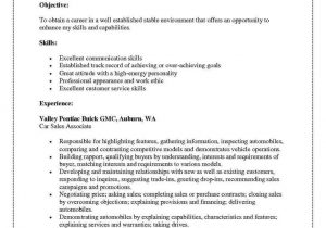 Sample Skills and Abilities On A Resume 65 Best Good Examples Skills and Abilities