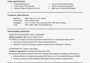 Sample Skills and Abilities On A Resume the Best Skills to Include On A Resume