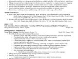 Sample Skills and Qualifications In Resume 11 12 Examples Of Skills and Qualifications