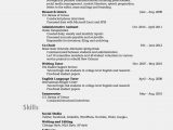 Sample Skills Resume for Highschool Students Sample High School Student Resume Example Professional