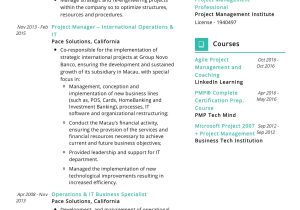 Sample Skills to Put On A Resume for Strategic Planner Business Strategy Resume Sample 2022 Writing Tips – Resumekraft