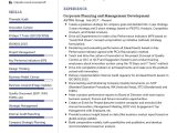 Sample Skills to Put On A Resume for Strategic Planner Corporate Planning Cv Example 2022 Writing Tips – Resumekraft