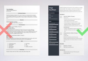 Sample social Worker Homeless Resume Profile Nonprofit Resume Examples (template & Guide)