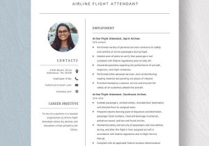 Sample southwest Airline Flight attendant Resume Free Free Airline Flight attendant Resume Template – Word, Apple …