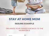 Sample Stay at Home Volunteer Resume Stay at Home Mom Resume Example: organize Your Transition Back to …