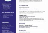 Sample Strong Resume for College Students College Student Resume Examples and Templates Mypath