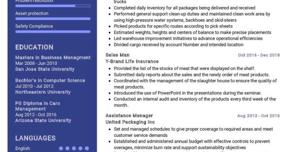 Sample Summary for Baggage Handler Position In A Resume Cargo Porter Resume Sample 2022 Writing Tips – Resumekraft