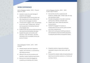 Sample Summary for Baggage Handler Position In A Resume Free Free Airline Baggage Handler Resume Template – Word, Apple …