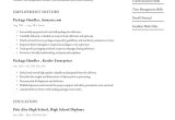 Sample Summary for Baggage Handler Position In A Resume Package Handler Resume Example & Writing Guide Â· Resume.io